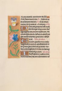 Horas da rainha Isabel, a católica, rainha da Espanha: Fol. 216v, c. 1500. de Master of the First Prayerbook of Maximillian