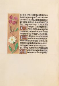 Horas da rainha Isabel, a católica, rainha da Espanha: Fol. 217v, c. 1500. de Master of the First Prayerbook of Maximillian