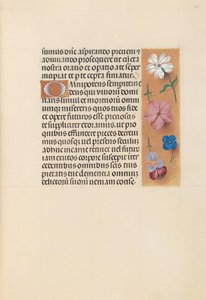 Horas da rainha Isabel, a católica, rainha da Espanha: Fol. 218r, c. 1500. de Master of the First Prayerbook of Maximillian