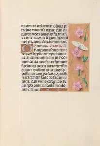 Horas da rainha Isabel, a católica, rainha da Espanha: Fol. 21r, c. 1500. de Master of the First Prayerbook of Maximillian
