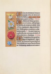 Horas da rainha Isabel, a católica, rainha da Espanha: Fol. 21v, c. 1500. de Master of the First Prayerbook of Maximillian
