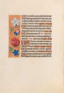 Horas da rainha Isabel, a católica, rainha da Espanha: Fol. 221v, c. 1500. de Master of the First Prayerbook of Maximillian