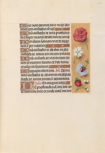 Horas da rainha Isabel, a católica, rainha da Espanha: Fol. 222r, c. 1500. de Master of the First Prayerbook of Maximillian