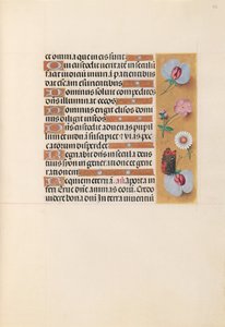 Horas da rainha Isabel, a católica, rainha da Espanha: Fol. 225r, c. 1500. de Master of the First Prayerbook of Maximillian