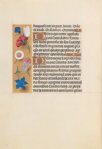 Horas da rainha Isabel, a católica, rainha da Espanha: Fol. 225v, c. 1500. de Master of the First Prayerbook of Maximillian