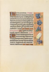 Horas da rainha Isabel, a católica, rainha da Espanha: Fol. 226r, c. 1500. de Master of the First Prayerbook of Maximillian