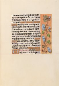 Horas da rainha Isabel, a católica, rainha da Espanha: Fol. 227r, c. 1500. de Master of the First Prayerbook of Maximillian