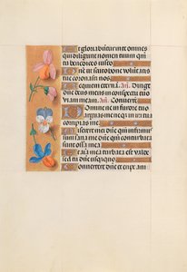 Horas da rainha Isabel, a católica, rainha da Espanha: Fol. 228v, c. 1500. de Master of the First Prayerbook of Maximillian