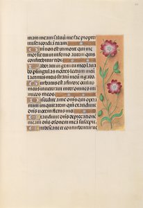 Horas da rainha Isabel, a católica, rainha da Espanha: Fol. 229r, c. 1500. de Master of the First Prayerbook of Maximillian