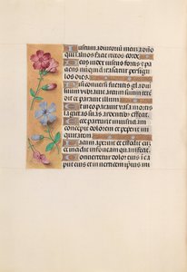 Horas da rainha Isabel, a católica, rainha da Espanha: Fol. 230v, c. 1500. de Master of the First Prayerbook of Maximillian