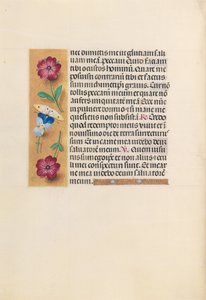 Horas da rainha Isabel, a católica, rainha da Espanha: Fol. 231v, c. 1500. de Master of the First Prayerbook of Maximillian