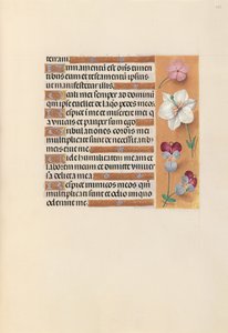 Horas da rainha Isabel, a católica, rainha da Espanha: Fol. 235r, c. 1500. de Master of the First Prayerbook of Maximillian