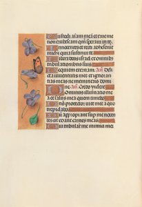 Horas da rainha Isabel, a católica, rainha da Espanha: Fol. 235v, c. 1500. de Master of the First Prayerbook of Maximillian