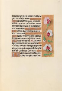 Horas da rainha Isabel, a católica, rainha da Espanha: Fol. 237r, c. 1500. de Master of the First Prayerbook of Maximillian