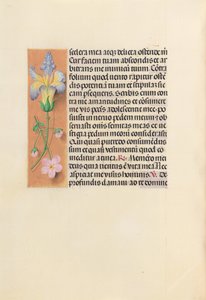 Horas da rainha Isabel, a católica, rainha da Espanha: Fol. 237v, c. 1500. de Master of the First Prayerbook of Maximillian