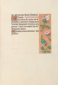 Horas da rainha Isabel, a católica, rainha da Espanha: Fol. 23r, c. 1500. de Master of the First Prayerbook of Maximillian
