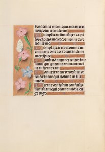 Horas da rainha Isabel, a católica, rainha da Espanha: Fol. 240v, c. 1500. de Master of the First Prayerbook of Maximillian