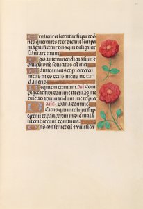 Horas da rainha Isabel, a católica, rainha da Espanha: Fol. 241r, c. 1500. de Master of the First Prayerbook of Maximillian
