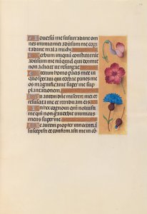 Horas da rainha Isabel, a católica, rainha da Espanha: Fol. 242r, c. 1500. de Master of the First Prayerbook of Maximillian