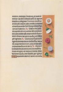 Horas da rainha Isabel, a católica, rainha da Espanha: Fol. 245r, c. 1500. de Master of the First Prayerbook of Maximillian