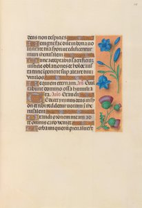 Horas da rainha Isabel, a católica, rainha da Espanha: Fol. 248r, c. 1500. de Master of the First Prayerbook of Maximillian