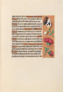 Horas da rainha Isabel, a Católica, rainha de Espanha:  Fol. 249r de Master of the First Prayerbook of Maximillian