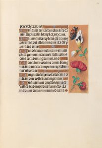 Horas da rainha Isabel, a católica, rainha da Espanha: Fol. 249r, c. 1500. de Master of the First Prayerbook of Maximillian