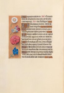 Horas da rainha Isabel, a católica, rainha da Espanha: Fol. 249v, c. 1500. de Master of the First Prayerbook of Maximillian