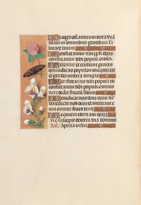 Horas da rainha Isabel, a católica, rainha da Espanha: Fol. 250v, c. 1500. de Master of the First Prayerbook of Maximillian