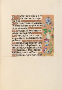 Horas da rainha Isabel, a católica, rainha da Espanha: Fol. 251r, c. 1500. de Master of the First Prayerbook of Maximillian