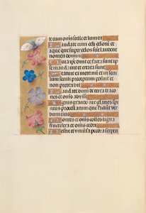 Horas da rainha Isabel, a católica, rainha da Espanha: Fol. 252v, c. 1500. de Master of the First Prayerbook of Maximillian