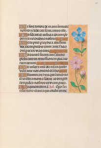 Horas da rainha Isabel, a católica, rainha da Espanha: Fol. 255r, c. 1500. de Master of the First Prayerbook of Maximillian