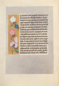 Horas da rainha Isabel, a católica, rainha da Espanha: Fol. 258v, c. 1500. de Master of the First Prayerbook of Maximillian