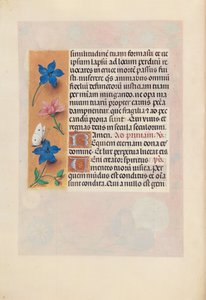 Horas da rainha Isabel, a católica, rainha da Espanha: Fol. 25v, c. 1500. de Master of the First Prayerbook of Maximillian