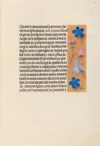 Horas da rainha Isabel, a católica, rainha da Espanha: Fol. 260r, c. 1500. de Master of the First Prayerbook of Maximillian