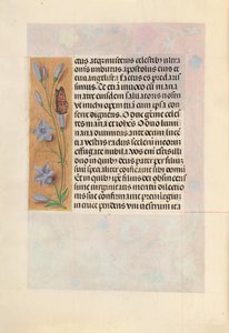 Horas da rainha Isabel, a católica, rainha da Espanha: Fol. 262v, c. 1500. de Master of the First Prayerbook of Maximillian