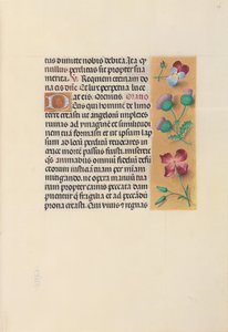 Horas da rainha Isabel, a católica, rainha da Espanha: Fol. 26r, c. 1500. de Master of the First Prayerbook of Maximillian