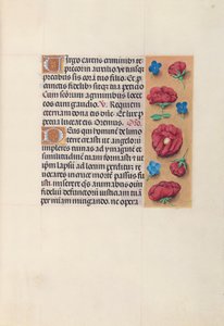 Horas da rainha Isabel, a católica, rainha da Espanha: Fol. 28r, c. 1500. de Master of the First Prayerbook of Maximillian