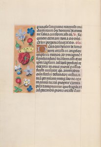 Horas da rainha Isabel, a católica, rainha da Espanha: Fol. 29v, c. 1500. de Master of the First Prayerbook of Maximillian