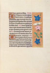 Horas da rainha Isabel, a católica, rainha da Espanha: Fol. 33r, c. 1500. de Master of the First Prayerbook of Maximillian