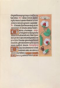 Horas da rainha Isabel, a católica, rainha da Espanha: Fol. 35r, c. 1500. de Master of the First Prayerbook of Maximillian