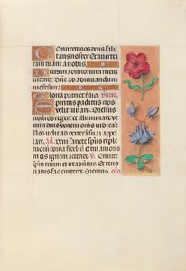 Horas da rainha Isabel, a católica, rainha da Espanha: Fol. 36r, c. 1500. de Master of the First Prayerbook of Maximillian