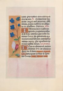 Horas da rainha Isabel, a Católica, rainha de Espanha:  Fol. 38v de Master of the First Prayerbook of Maximillian