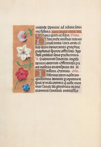 Horas da rainha Isabel, a católica, rainha da Espanha: Fol. 39v, c. 1500. de Master of the First Prayerbook of Maximillian