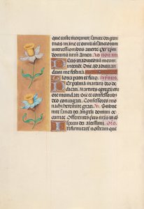 Horas da rainha Isabel, a católica, rainha da Espanha: Fol. 40v, c. 1500. de Master of the First Prayerbook of Maximillian