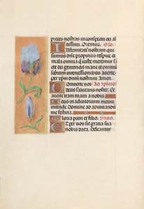 Horas da rainha Isabel, a católica, rainha da Espanha: Fol. 41v, c. 1500. de Master of the First Prayerbook of Maximillian