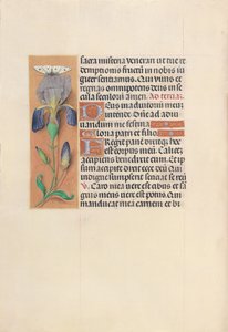 Horas da rainha Isabel, a católica, rainha da Espanha: Fol. 45v, c. 1500. de Master of the First Prayerbook of Maximillian