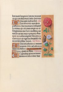 Horas da rainha Isabel, a Católica, rainha de Espanha:  Fol. 46r de Master of the First Prayerbook of Maximillian