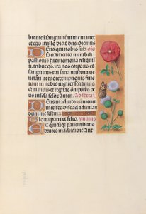 Horas da rainha Isabel, a católica, rainha da Espanha: Fol. 46r, c. 1500. de Master of the First Prayerbook of Maximillian