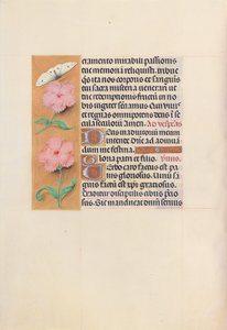 Horas da rainha Isabel, a católica, rainha da Espanha: Fol. 47v, c. 1500. de Master of the First Prayerbook of Maximillian